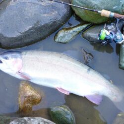 放流日の天竜川ルアーフライテンカラ専用区